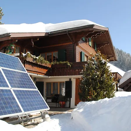 Apartment Nadeschda Adelboden Exterior photo