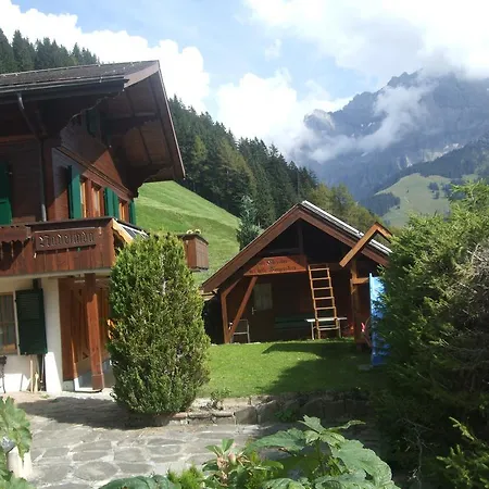 Apartment Nadeschda Adelboden Exterior photo